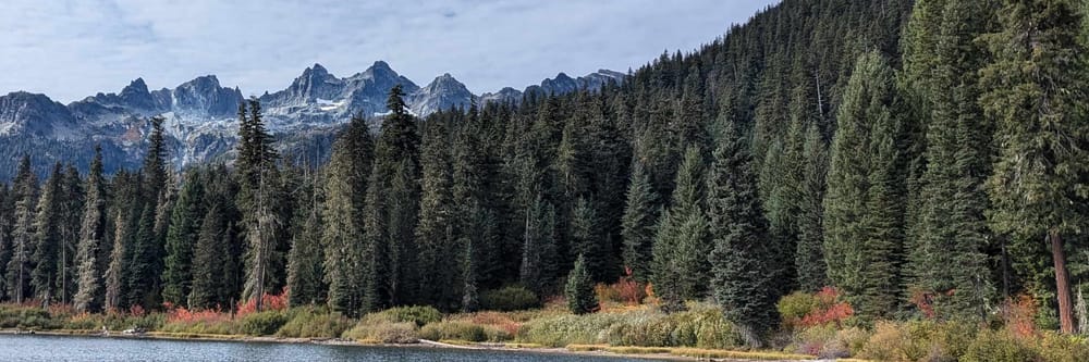 Firs along a lake below snow-covered peaks.